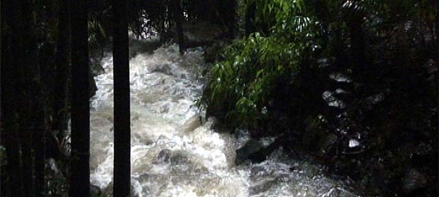 Reißender Fluss im australischen Dschungel