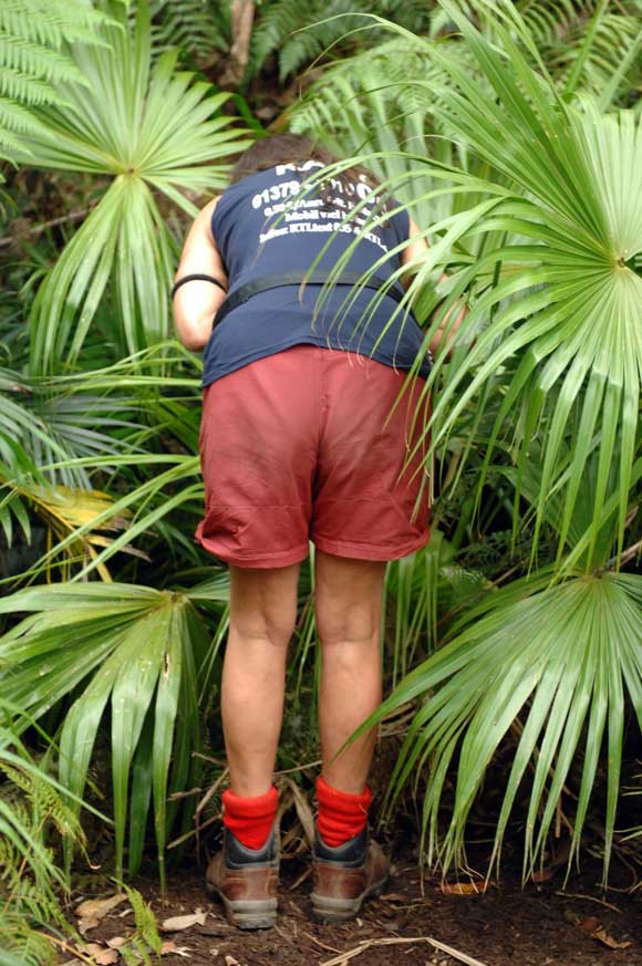 Katy kotzt in den Dschungel