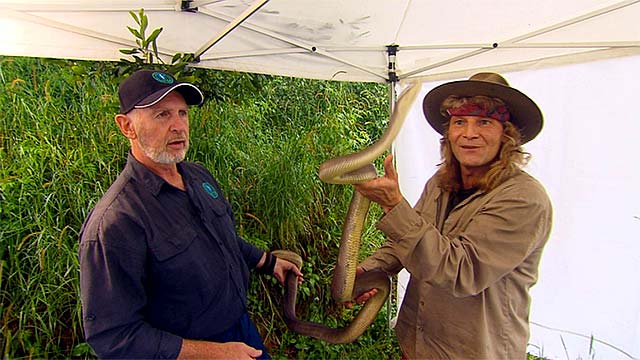 Vincent und Dr.Bob mit Dschungel-Schlange