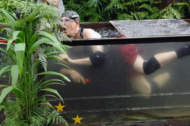rolfe-im-becken