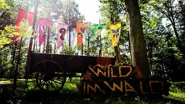 Gameshow Wild im Wald