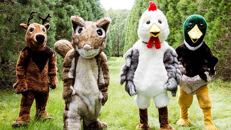 Kandidaten von Wild im Wald