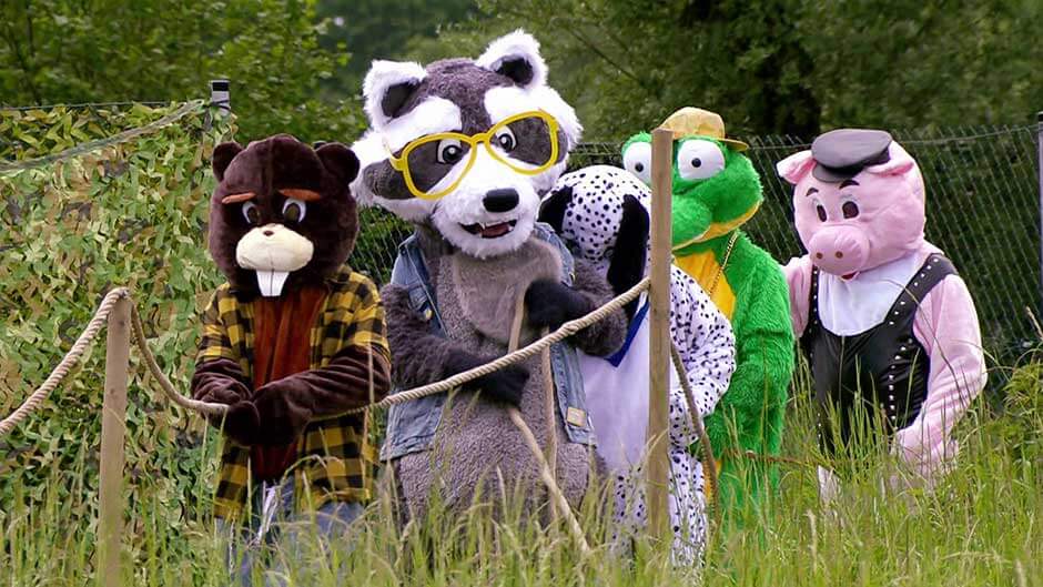 Waschbär Simon mischt bei der "Maskottchen-Challenge" im Sommerhaus der Stars ordentlich mit.