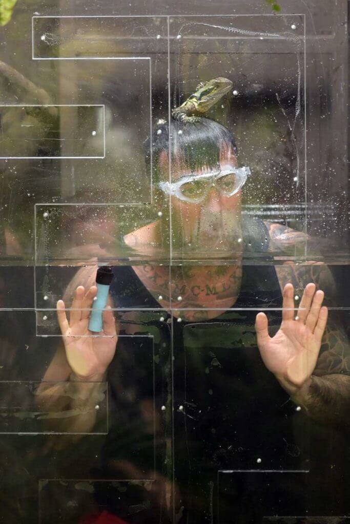 Cosimo in der Dschungelprüfung mit einer Agame (Eidechse) auf dem Kopf