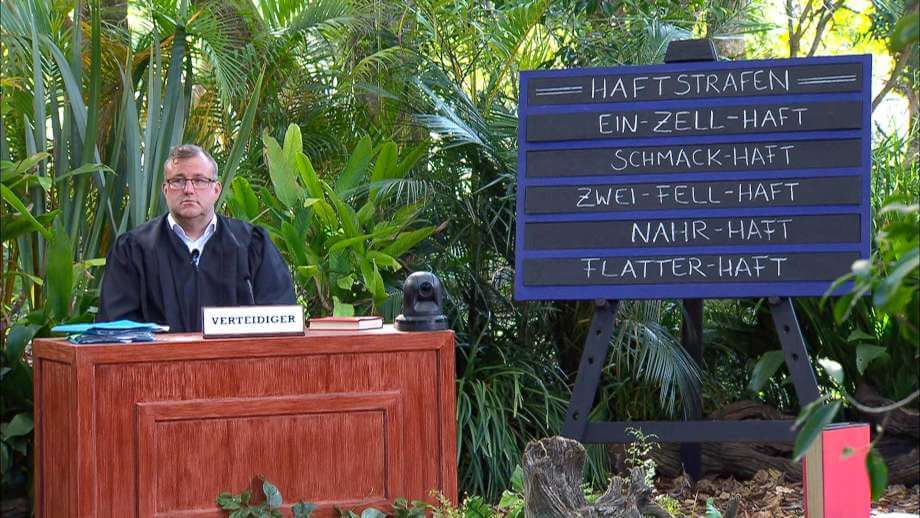 Die Strafgerichte beim Strafgericht der Dschungel-Legenden 2024