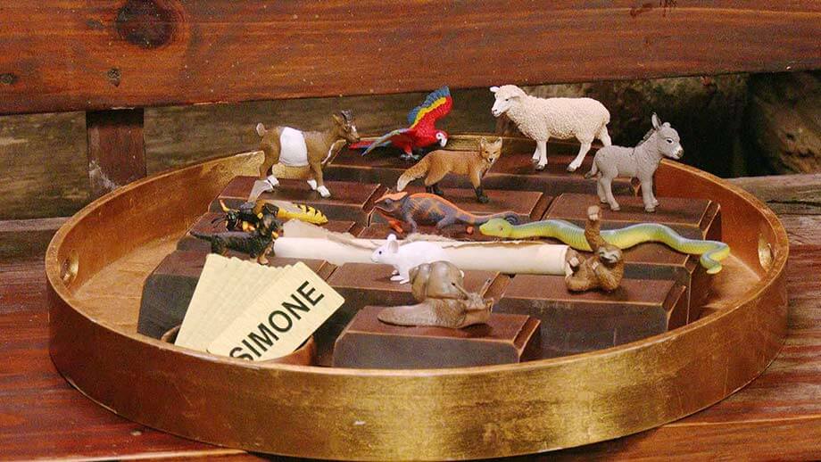 Tiere im Dschungeltelefon Tag 11 der 19. Staffel 2026 IBES